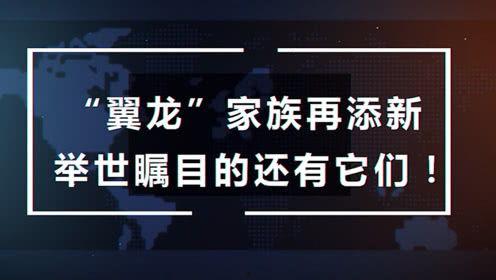 咕噜噜的爆料视频大全免费观看,免费观看，揭秘娱乐圈幕后故事